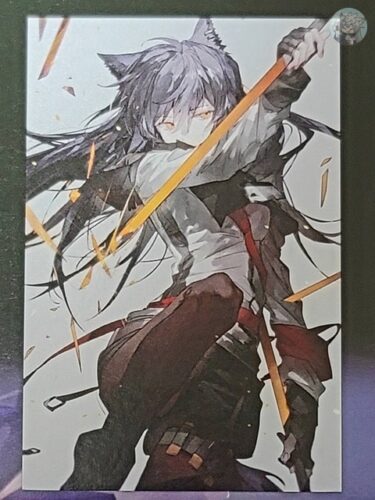 日本限定公式グッズ 『アークナイツ』×『ヴィレッジヴァンガード