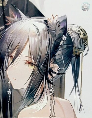 大陸限定同人グッズ 「Liduke先生」 SUM.1202 水着イラスト集24P(24