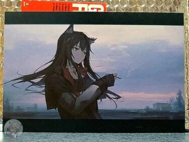 大陸限定同人グッズ アークナイツ公式絵師 「幻像黒兎先生」 (混色