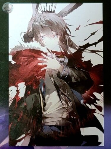 大陸限定同人グッズ アークナイツ公式絵師 「幻像黒兎先生 」 (混色