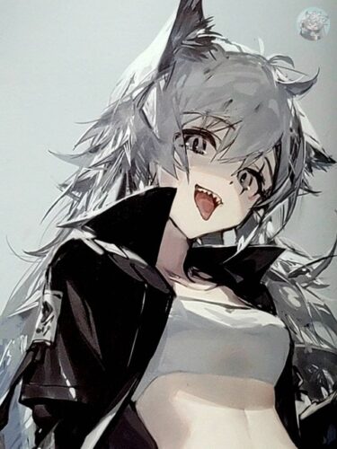 大陸限定同人グッズ 「Liduke先生」 SUM.1202 水着イラスト集24P(24