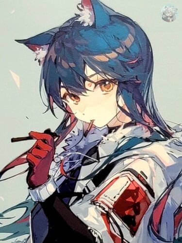 大陸限定同人グッズ 「Liduke先生」 イラスト集(Liduke's Art work#01