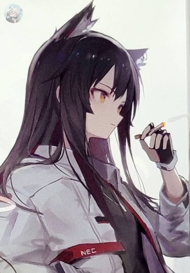 アークナイツ　幻象黒兎 「混色-COLOUR FUSION」 アクリルスタンド Amazon.co.jp: アークナイツ 幻象黒兎 「混色-COLOUR FUSION