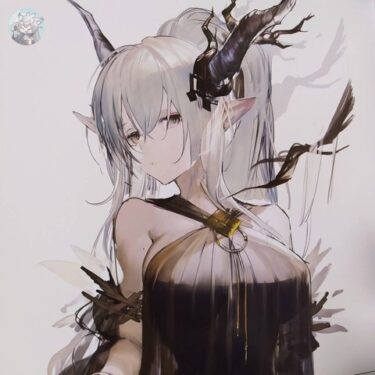 大陸限定同人グッズ 「Liduke先生」 SUM.1202 水着イラスト集24P
