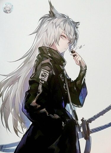 大陸限定同人グッズ 「Liduke先生」 SUM.1202 水着イラスト集24P(24