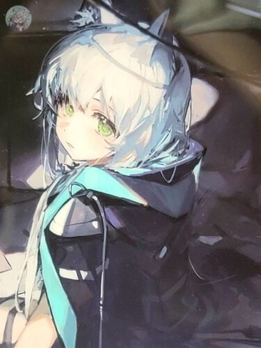 日本限定公式グッズ『アークナイツ』×『ヴィレッジヴァンガード』限定