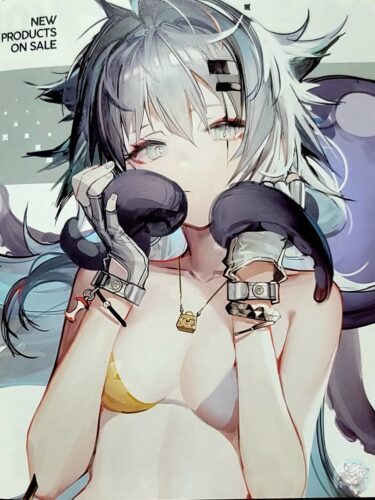 大陸限定同人グッズ 「Liduke先生」 SUM.1202 水着イラスト集24P(24