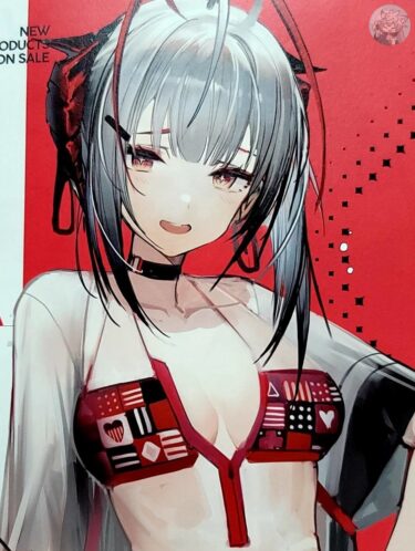 大陸限定同人グッズ 「Liduke先生」 SUM.1202 水着イラスト集24P(24