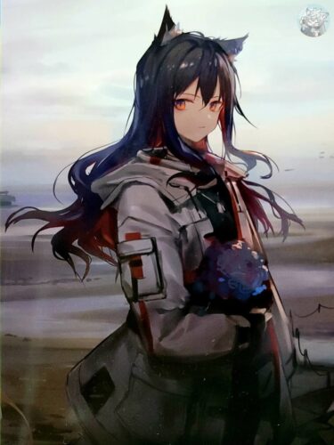 日本限定公式グッズ『アークナイツ』×『ヴィレッジヴァンガード』限定