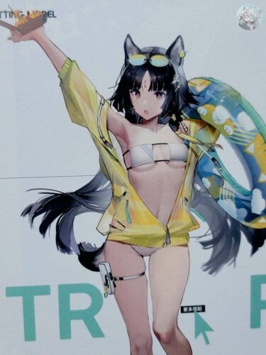 大陸限定同人グッズ 「Liduke先生」 SUM.1202 水着イラスト集24P(24