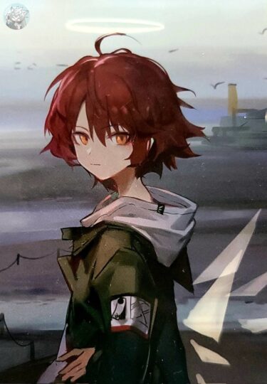 大陸限定同人グッズ アークナイツ公式絵師 「幻像黒兎先生 」 (混色