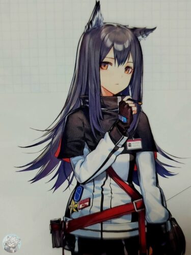 テキサス　20枚 ラップランド　17枚 大陸限定公式グッズ公式グッズ購入特典(非売品)ポストカード「血掟