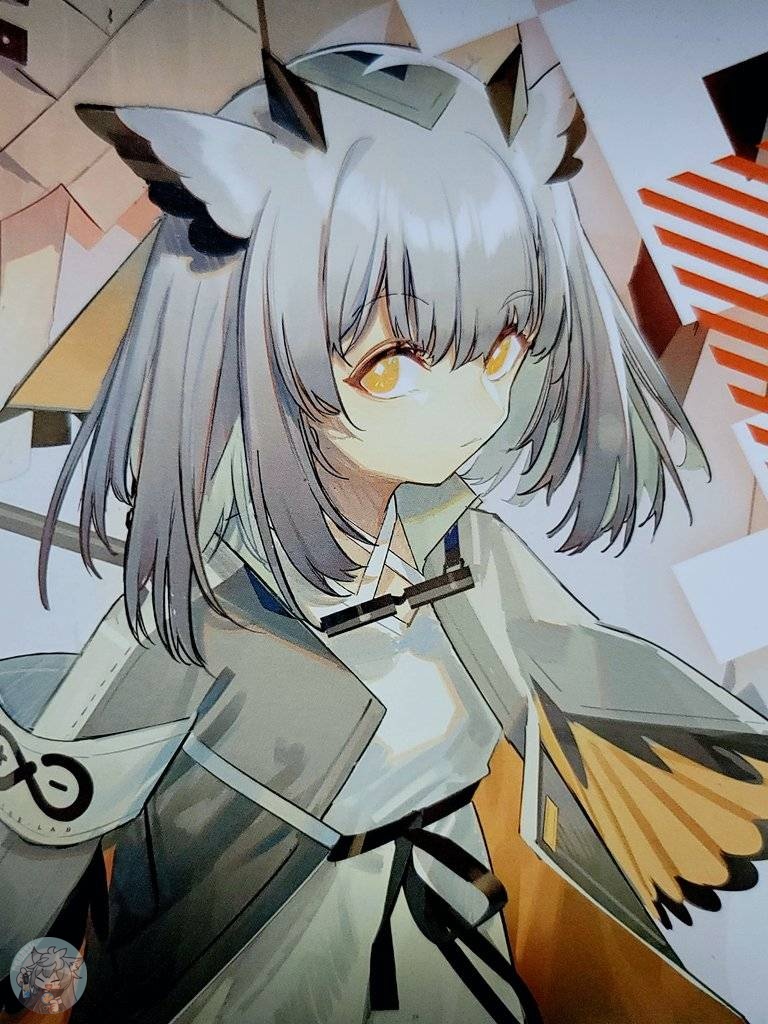 大陸限定アークナイツ公式資料設定集vol.1 「フィリオプシス