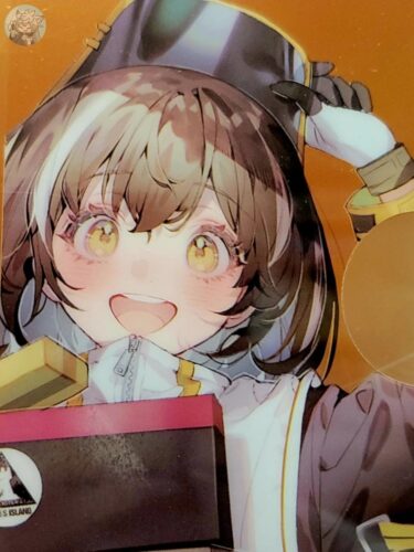 日本限定公式グッズ『アークナイツ』×『ヴィレッジヴァンガード』限定