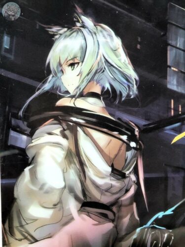 大陸限定公式グッズ A4クリアファイル(EPOQUE/時代) 「トゥイエ」培翠