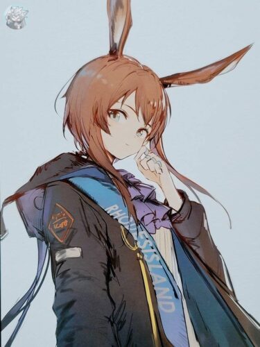 大陸限定同人グッズ アークナイツ公式絵師 「幻像黒兎先生 」 (混色