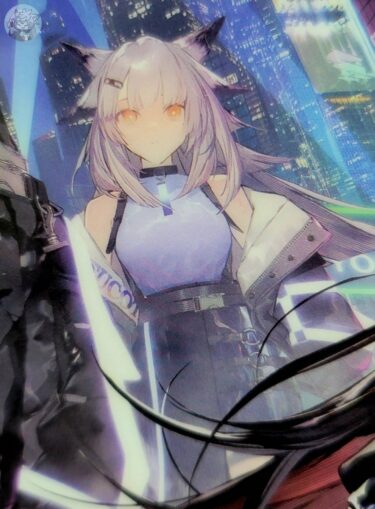 アークナイツ ヴィレッジヴァンガード コラボ1 クリアファイル セット 通販では人気ブランドを豊富に品揃え アークナイツ ヴィレッジヴァン