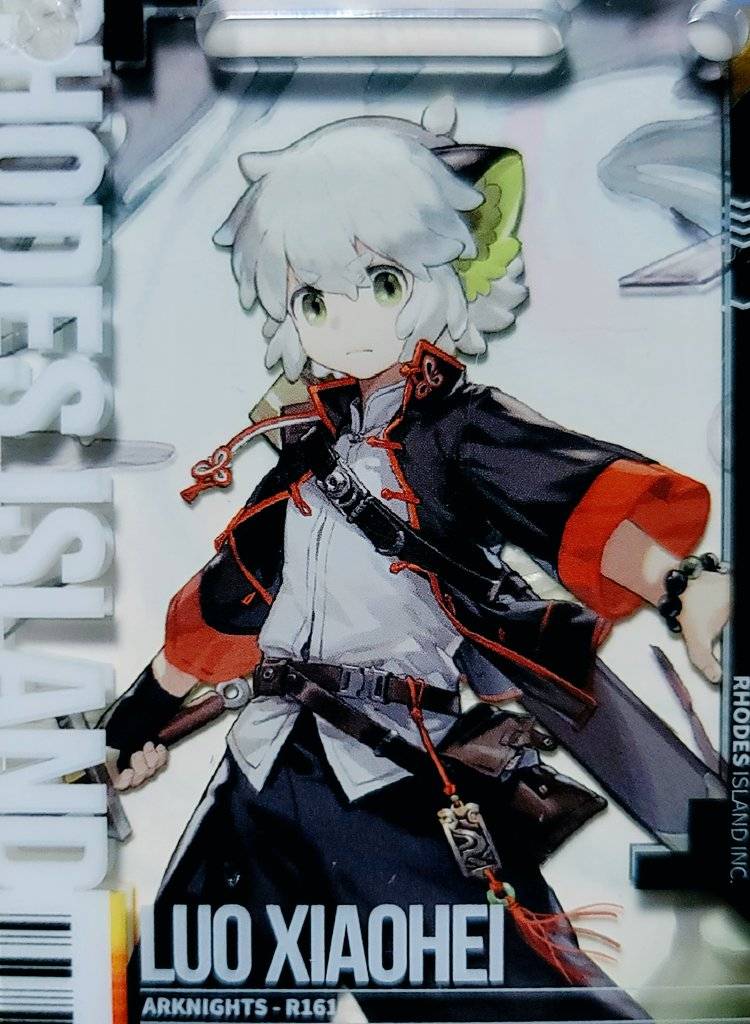 大陸限定公式(コラボ)グッズ 「明日方舟×羅小黒戦記」通行認証