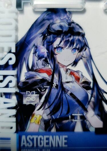 大陸限定同人グッズ アクリルキーホルダー(6×7cm) 「ロスモンティス
