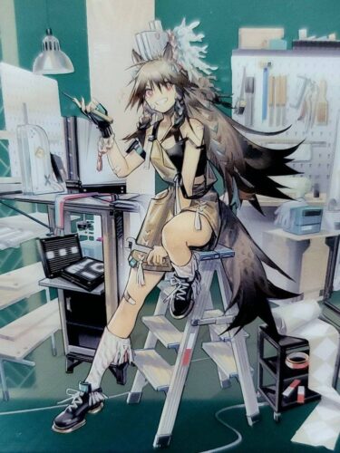 大陸限定同人グッズ 「Liduke先生」 SUM.1202 水着イラスト集24P