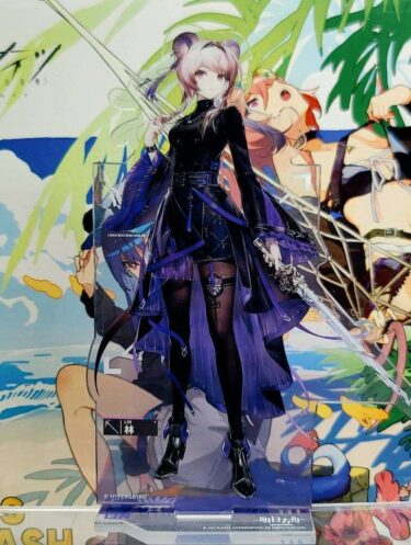 大陸限定同人グッズ 「Liduke先生」 SUM.1202 水着イラスト集24P(24