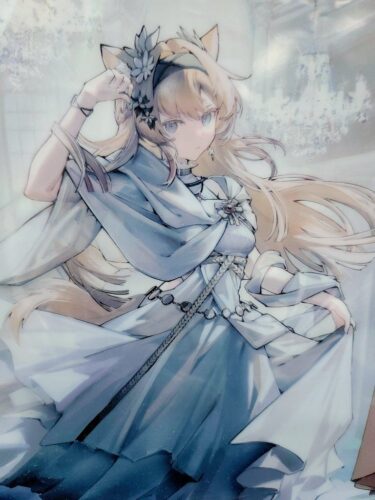 日本限定公式グッズ『アークナイツ』×『ヴィレッジヴァンガード』限定